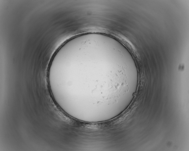 X0000096711182200802261622