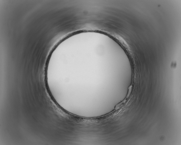 X0000096711183200802261622