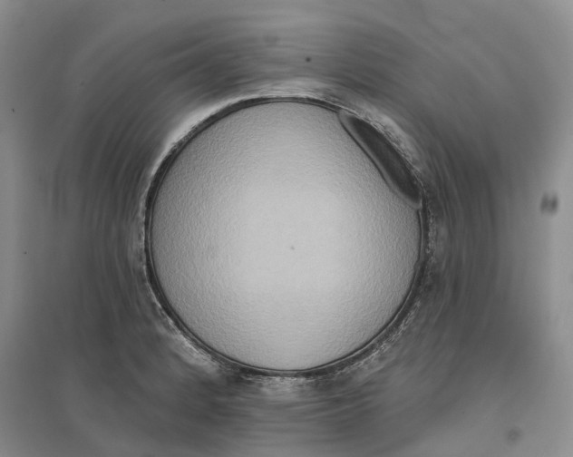 X0000096711184200802261622