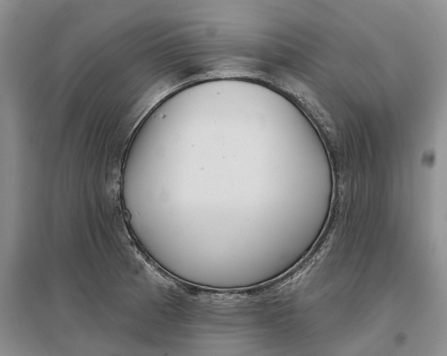 X0000096711185200802261622