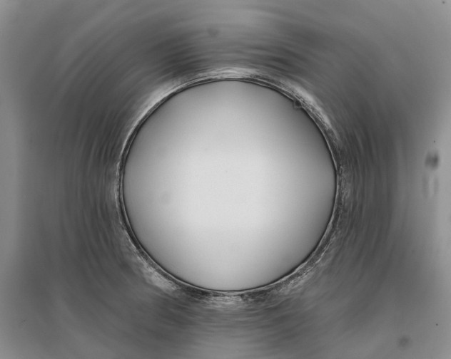 X0000096711186200802261622