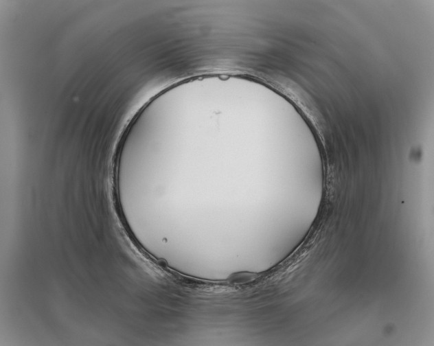 X0000096711187200802261622