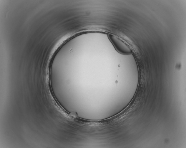 X0000096711188200802261622