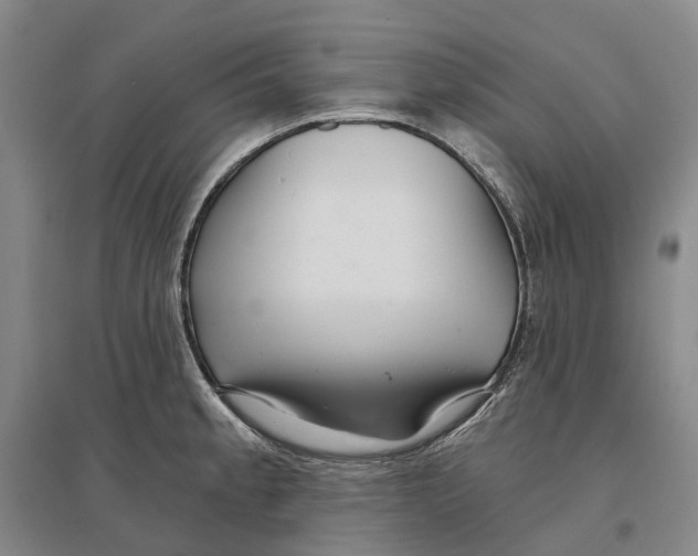 X0000096711189200802261622