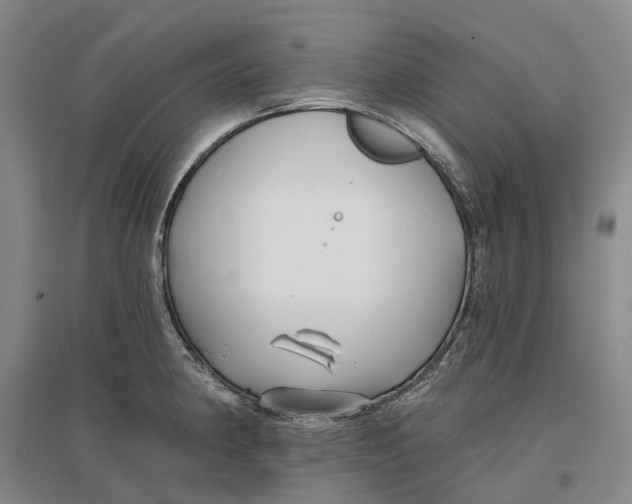 X0000096711190200802261622