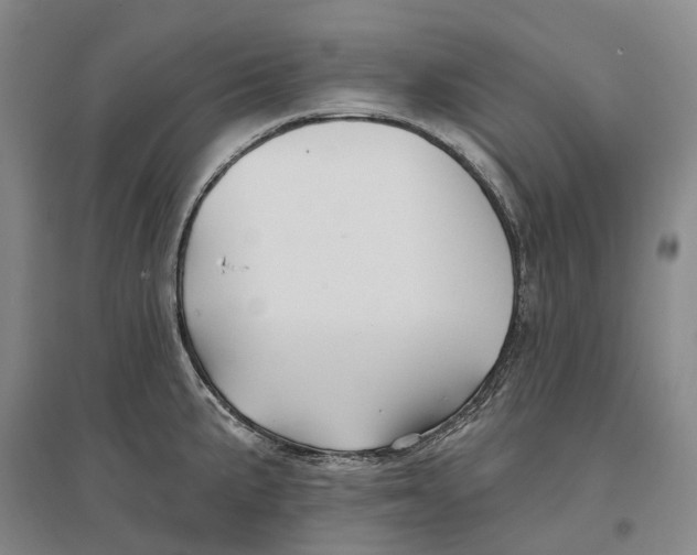 X0000096711191200802261621