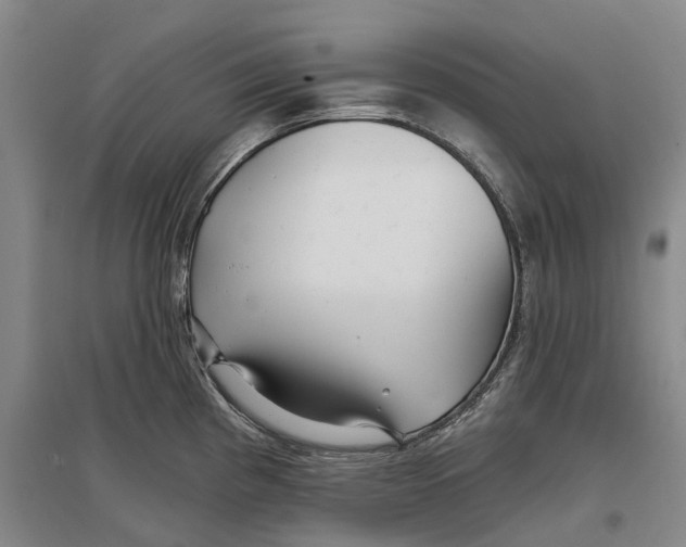 X0000096711193200802261621