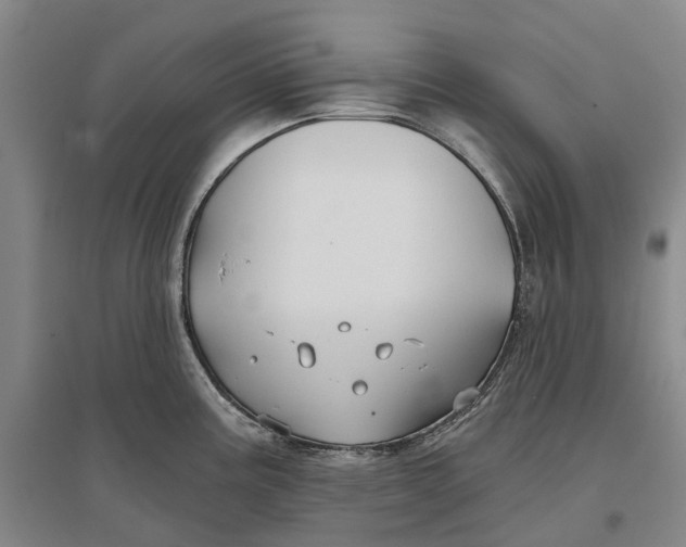 X0000096711195200802261621