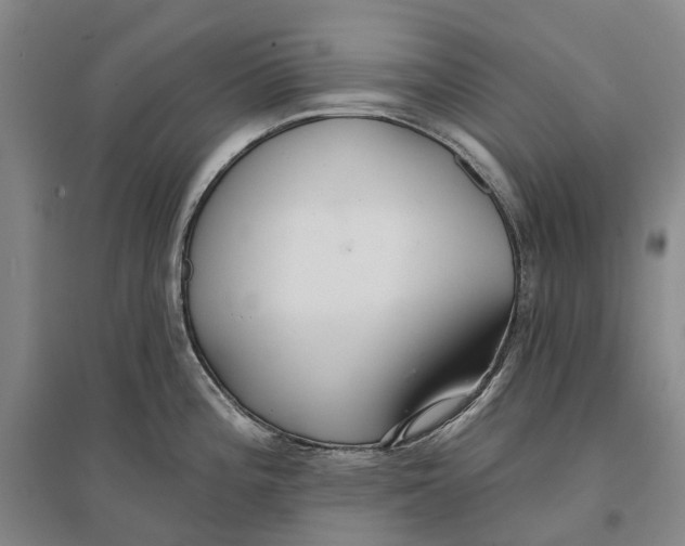 X0000096711196200802261621