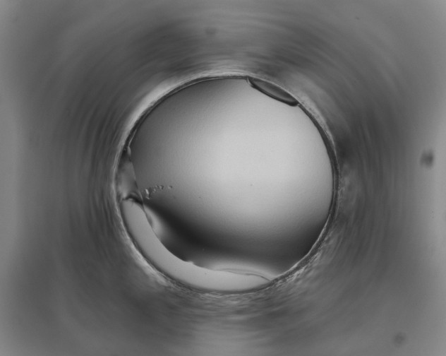 X0000096711197200802261621