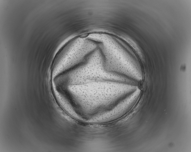 X0000096711198200802261621