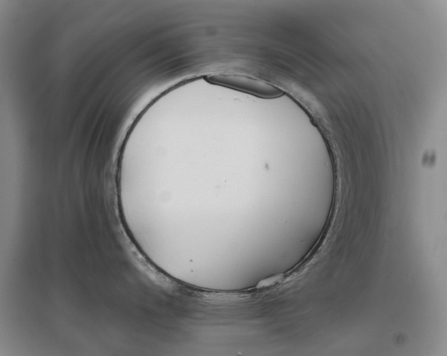 X0000096711200200802261621