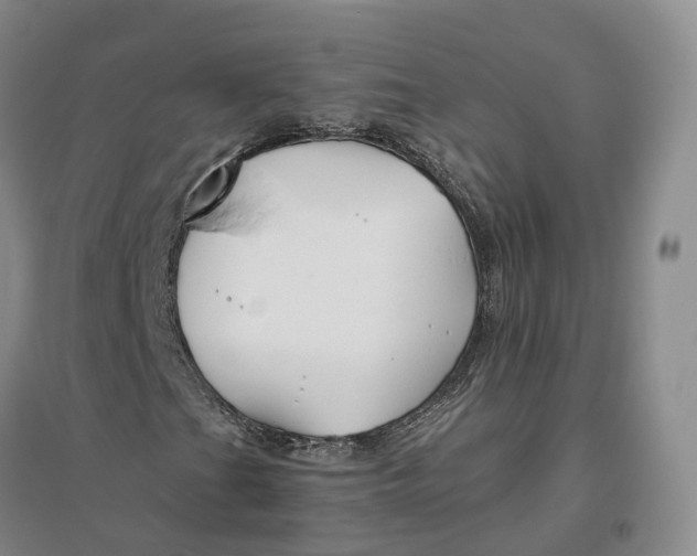 X0000096711201200802261621