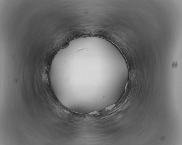 X0000096711202200802261621