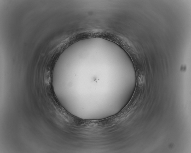 X0000096711204200802261621