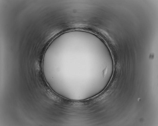 X0000096711209200802261621