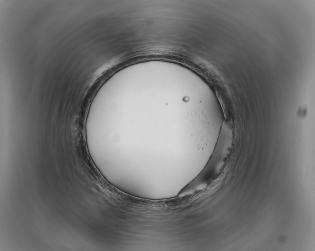 X0000096711210200802261621