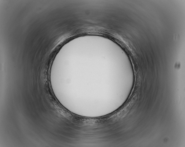 X0000096711211200802261621