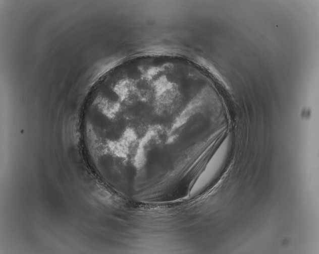 X0000096711213200802261621