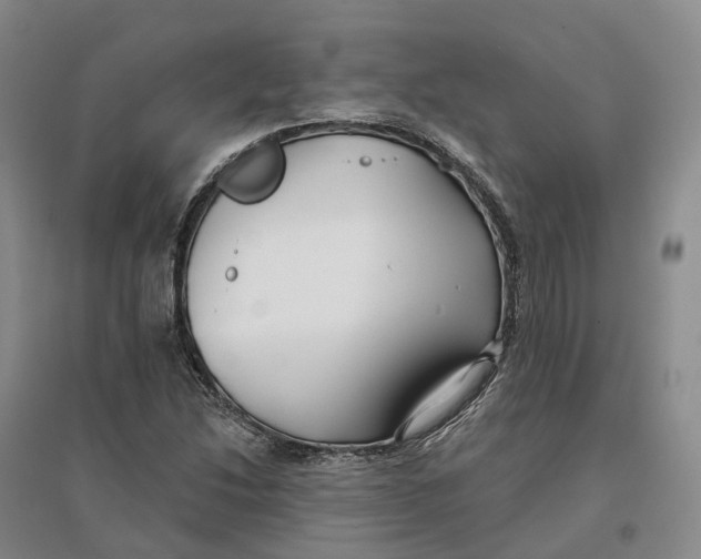 X0000096711214200802261621