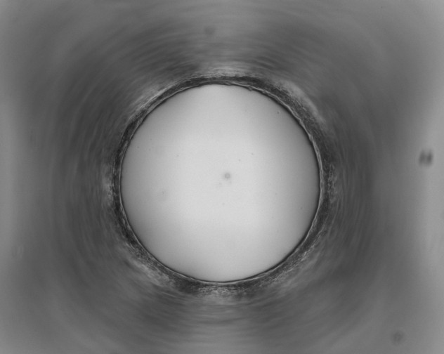 X0000096711217200802261621