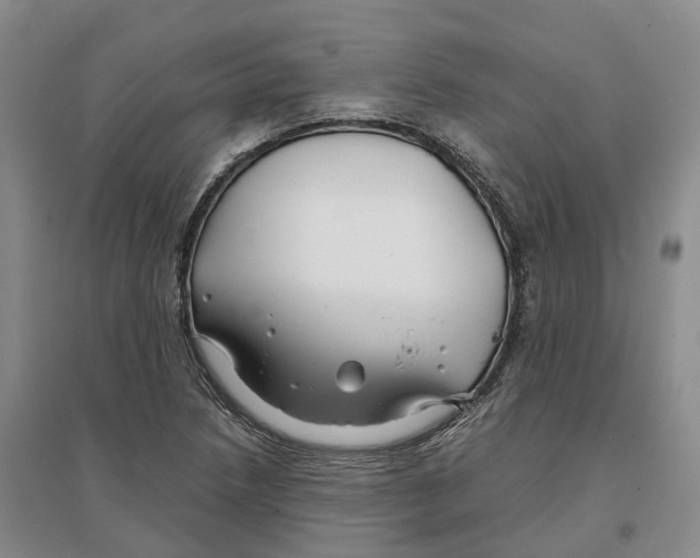 X0000096711218200802261621