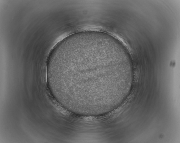 X0000096711219200802261621