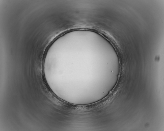 X0000096711220200802261621