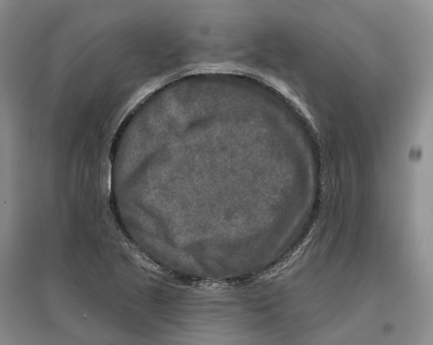 X0000096711221200802261621