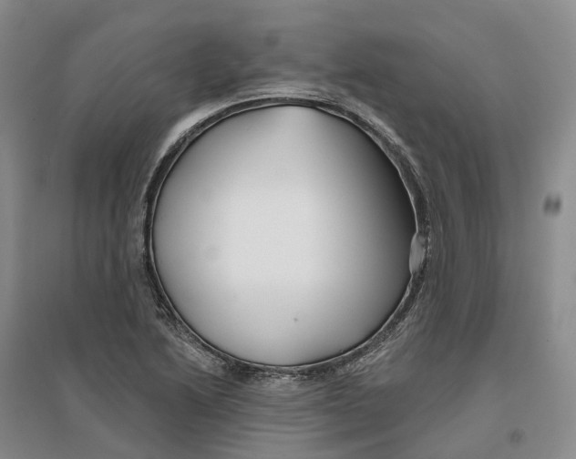 X0000096711222200802261621