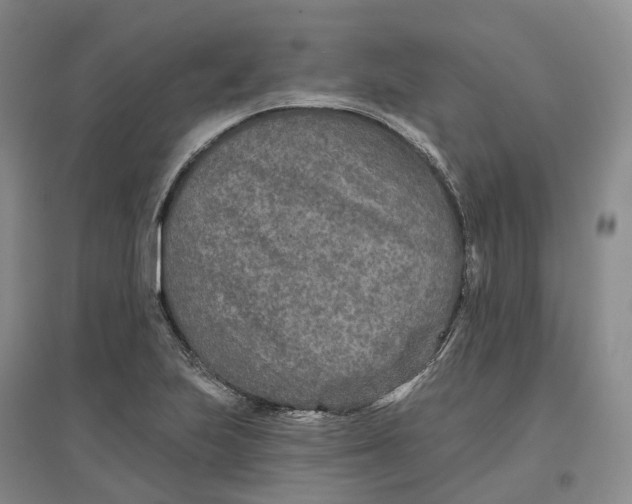 X0000096711223200802261621