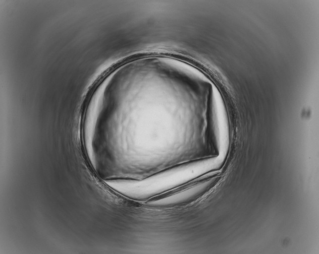 X0000096711224200802261621