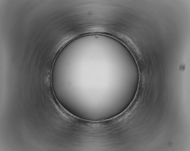 X0000096711225200802261621