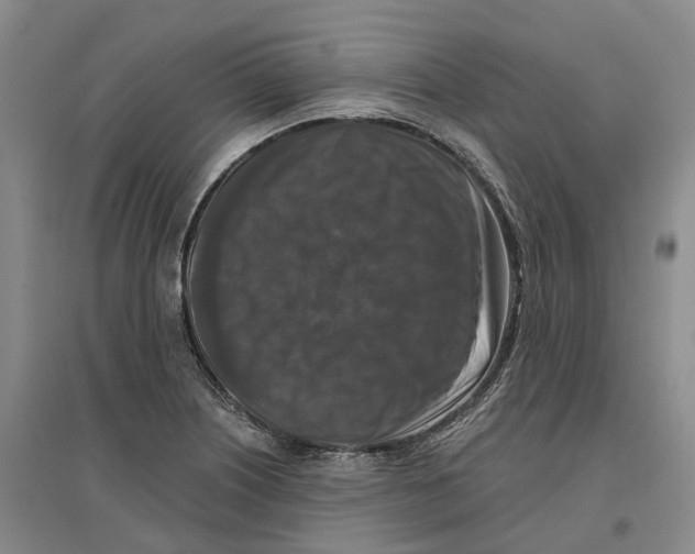 X0000096711226200802261621