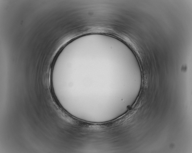 X0000096711227200802261621