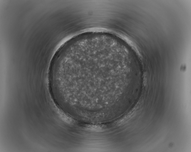 X0000096711229200802261621