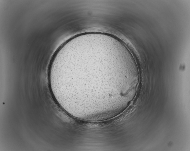 X0000096711230200802261621