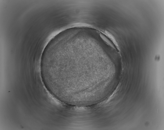 X0000096711231200802261621