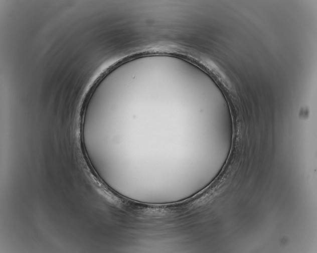 X0000096711232200802261621