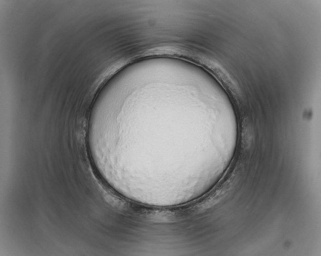 X0000096711233200802261621