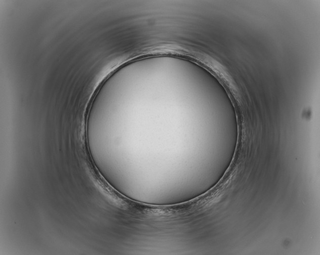 X0000096711234200802261621