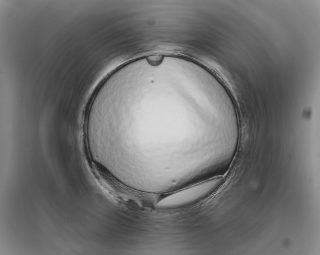 X0000096711235200802261621