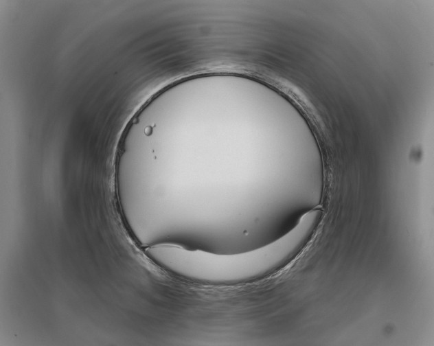 X0000096711236200802261621