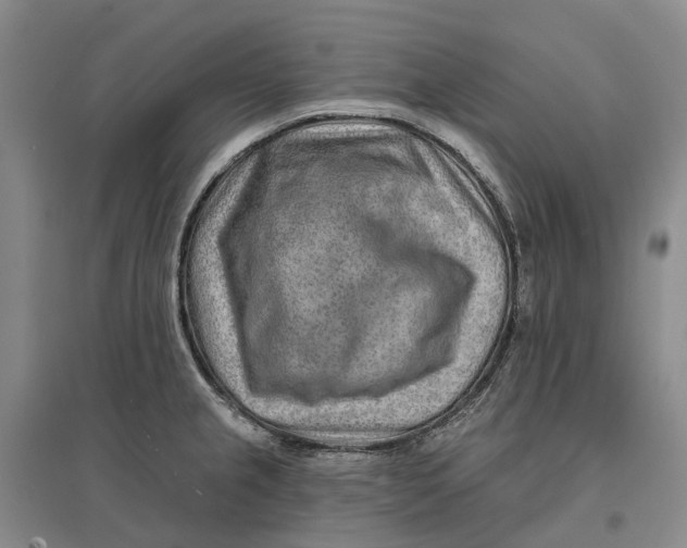 X0000096711237200802261621