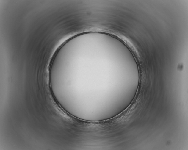 X0000096711238200802261621