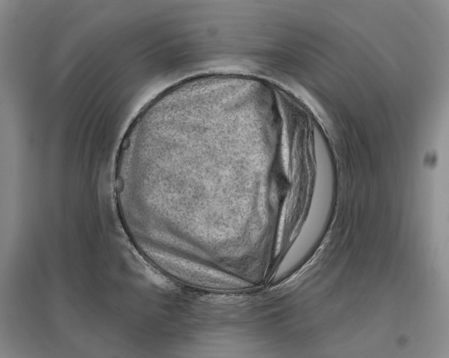 X0000096711240200802261621