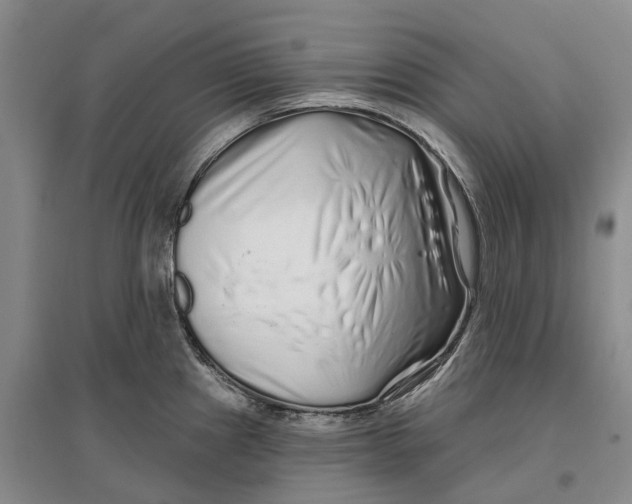 X0000096711241200802261621