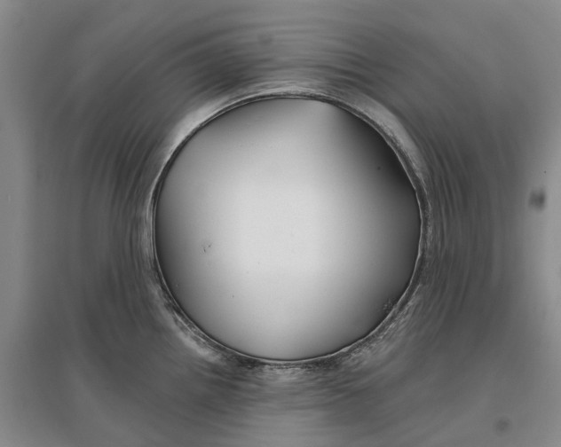 X0000096711242200802261621