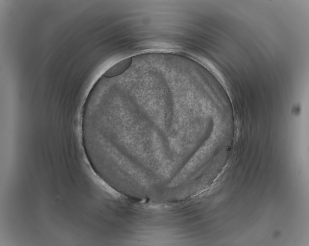 X0000096711243200802261621