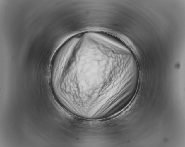 X0000096711244200802261621